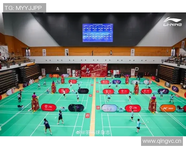 羽毛球的魅力与团队精神：深入南京羽毛球队的协作之道